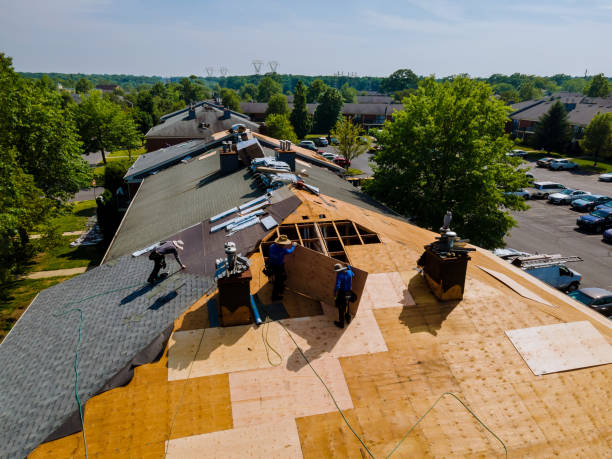 Best Residential Roofing Contractor  in Danvers, IL