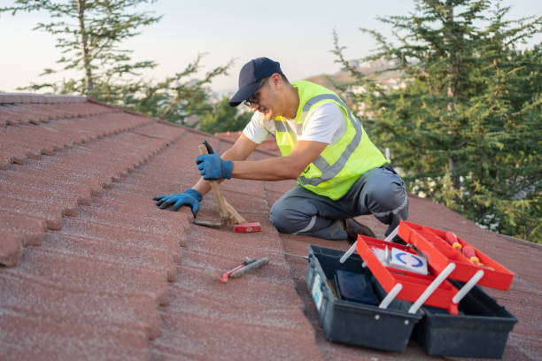 Best Residential Roofing Contractor  in Danvers, IL