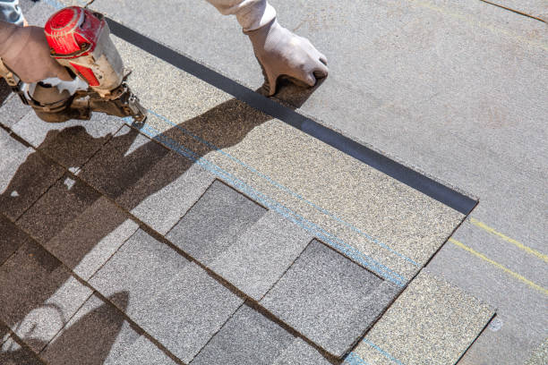 Best Storm Damage Roof Repair  in Danvers, IL